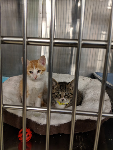 Pet Supply Store «PetSmart», reviews and photos, 1100 W 78th St, Richfield, MN 55423, USA