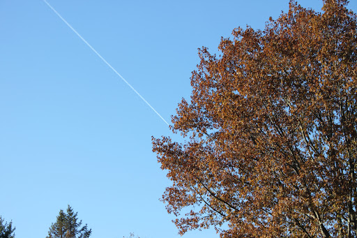 Park «Haym Solomon Memorial Park», reviews and photos, 200 Moores Rd, Malvern, PA 19355, USA