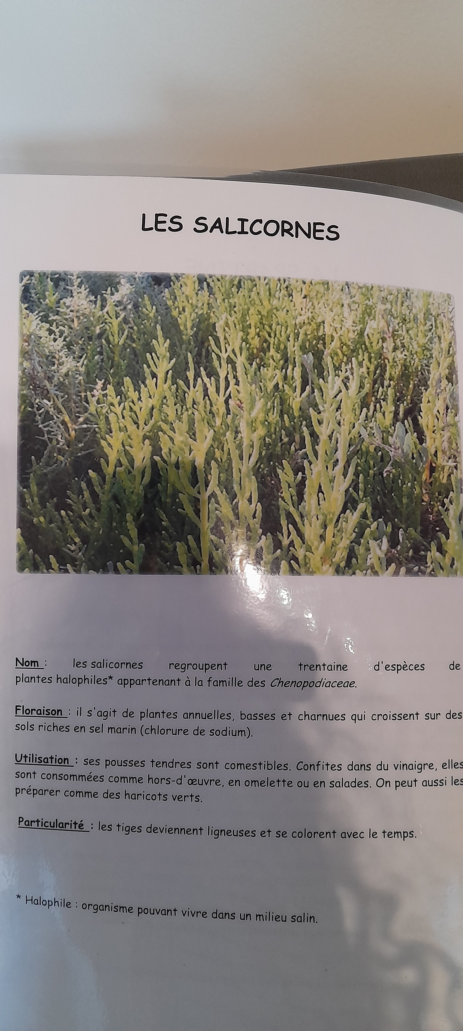 Photo n° 13 de l'avis de Angeeelique.o fait le 01/09/2022 à 11:54