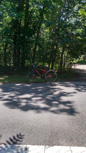 Park «Glassboro Wildlife Management Area», reviews and photos, Fries Mill Rd, Clayton, NJ 08312, USA