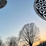 Photo n°2 de l'avis de Adriano.e fait le 30/03/2021 à 11:48 sur le  Parco Romano Biodistretto Castelli Romani à Ariccia