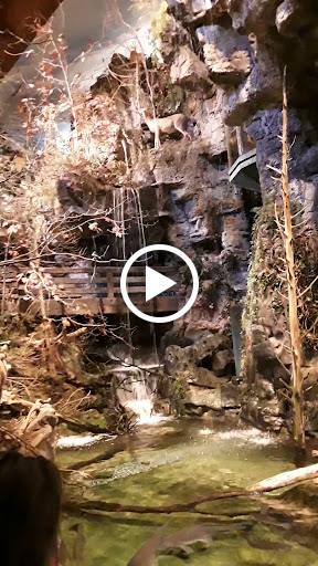 Sporting Goods Store «Bass Pro Shops Base Camp», reviews and photos, 2500 E Kearney St, Springfield, MO 65803, USA