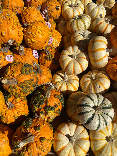 Health Food Store «Sprouts Farmers Market», reviews and photos, 4740 Bauer Farm Drive, Lawrence, KS 66049, USA