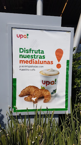 Mcdonalds Ruta 5 - Restaurante