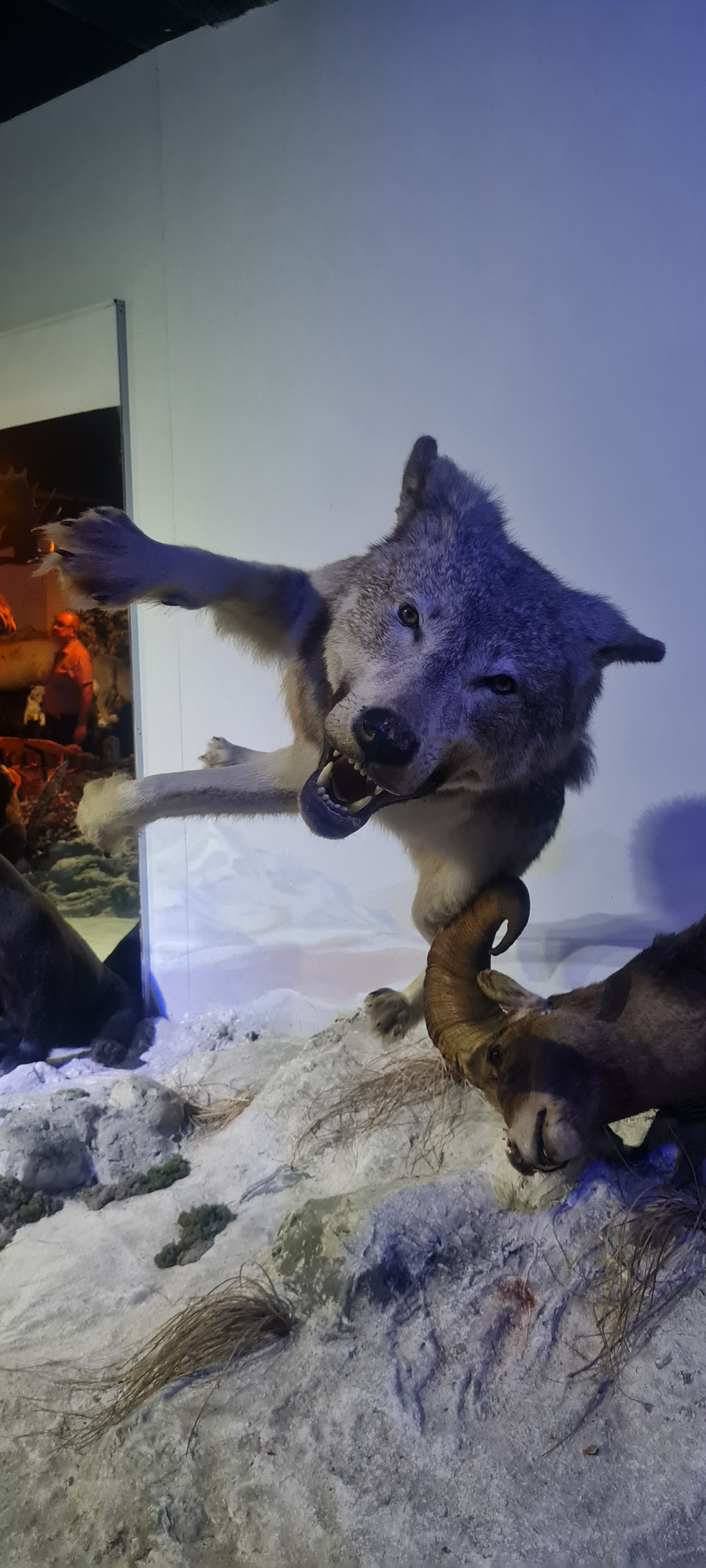 Photo n° 6 de l'avis de sandrine.e fait le 03/06/2023 à 18:16