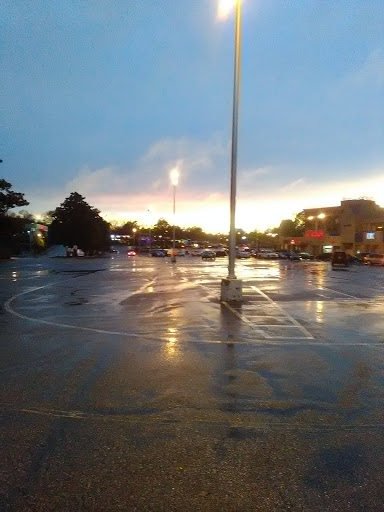 Grocery Store «The Fresh Market», reviews and photos, 835 S White Station Rd, Memphis, TN 38117, USA