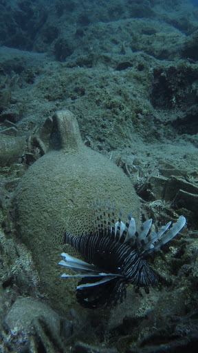 Marmaris Diving Center