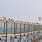 Photo n°2 de l'avis de Martin.e fait le 21/10/2022 à 06:55 sur le  Hotel TV à Rimini