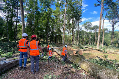 ALLIANCE Forêts Bois à Villamblard