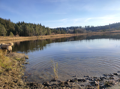 Le Barchet à Passonfontaine
