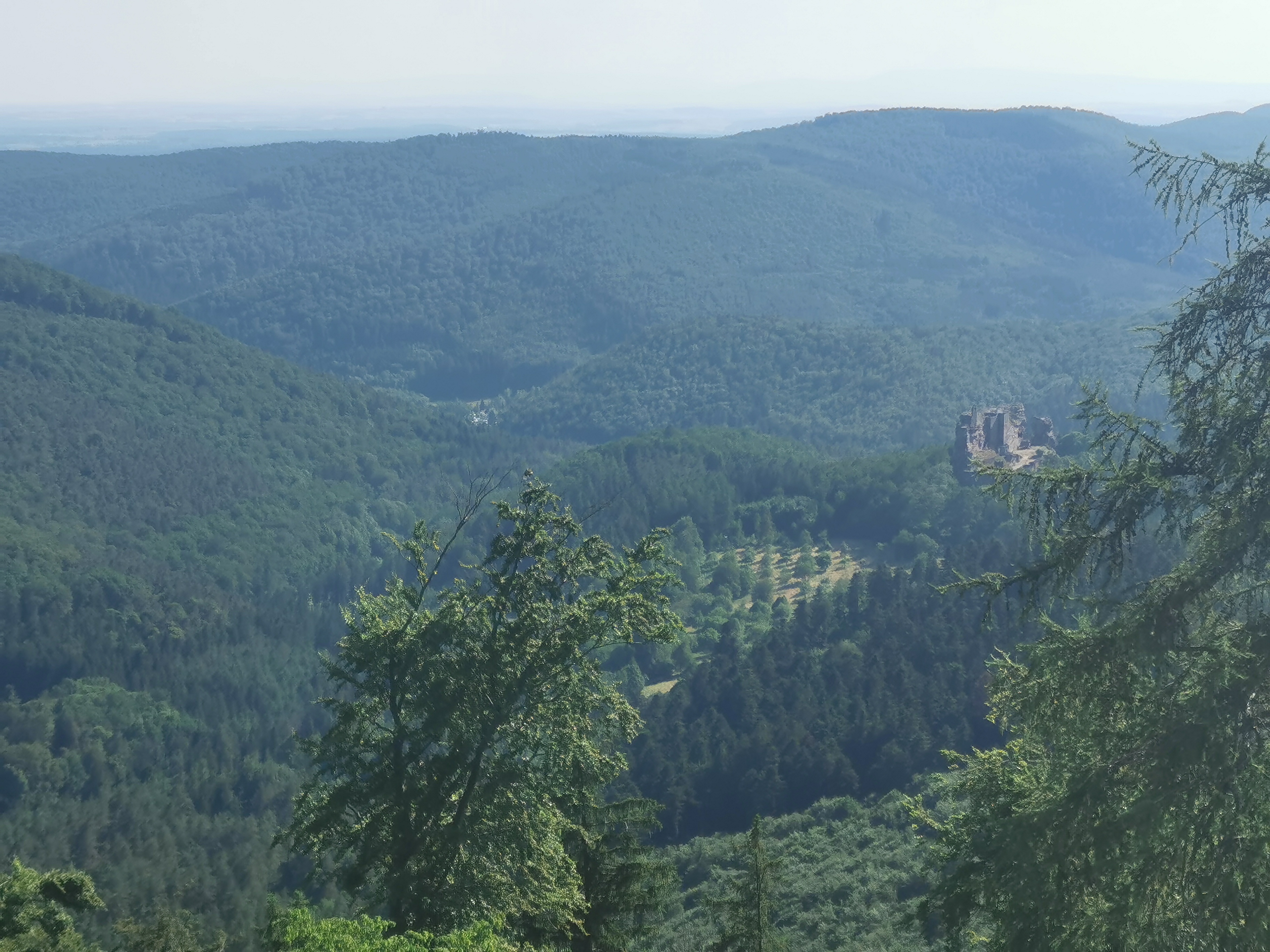 Photo n° 6 de l'avis de Mihai-Alexandru.u fait le 22/06/2023 à 19:07