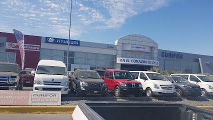 Curifor | Linderos