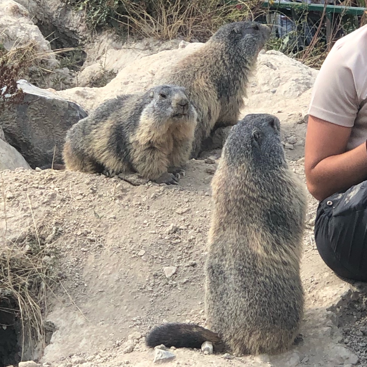 Photo n° 17 de l'avis de Jérémie.r fait le 28/08/2020 à 17:19