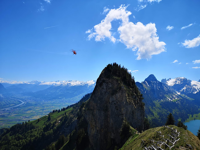 Alpengarten Hoher Kasten - Altstätten