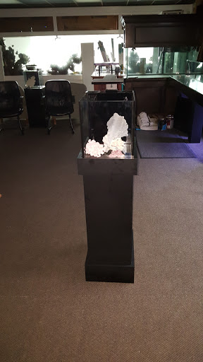 Pet Store «Sho Tank Aquariums», reviews and photos, 433 N Lake St, Mundelein, IL 60060, USA