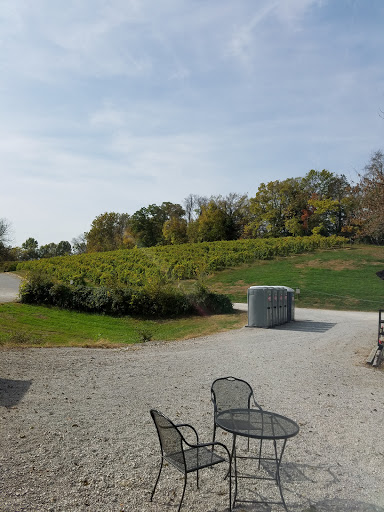 Winery «Blumenhof Winery», reviews and photos, 13699 MO-94, Dutzow, MO 63342, USA