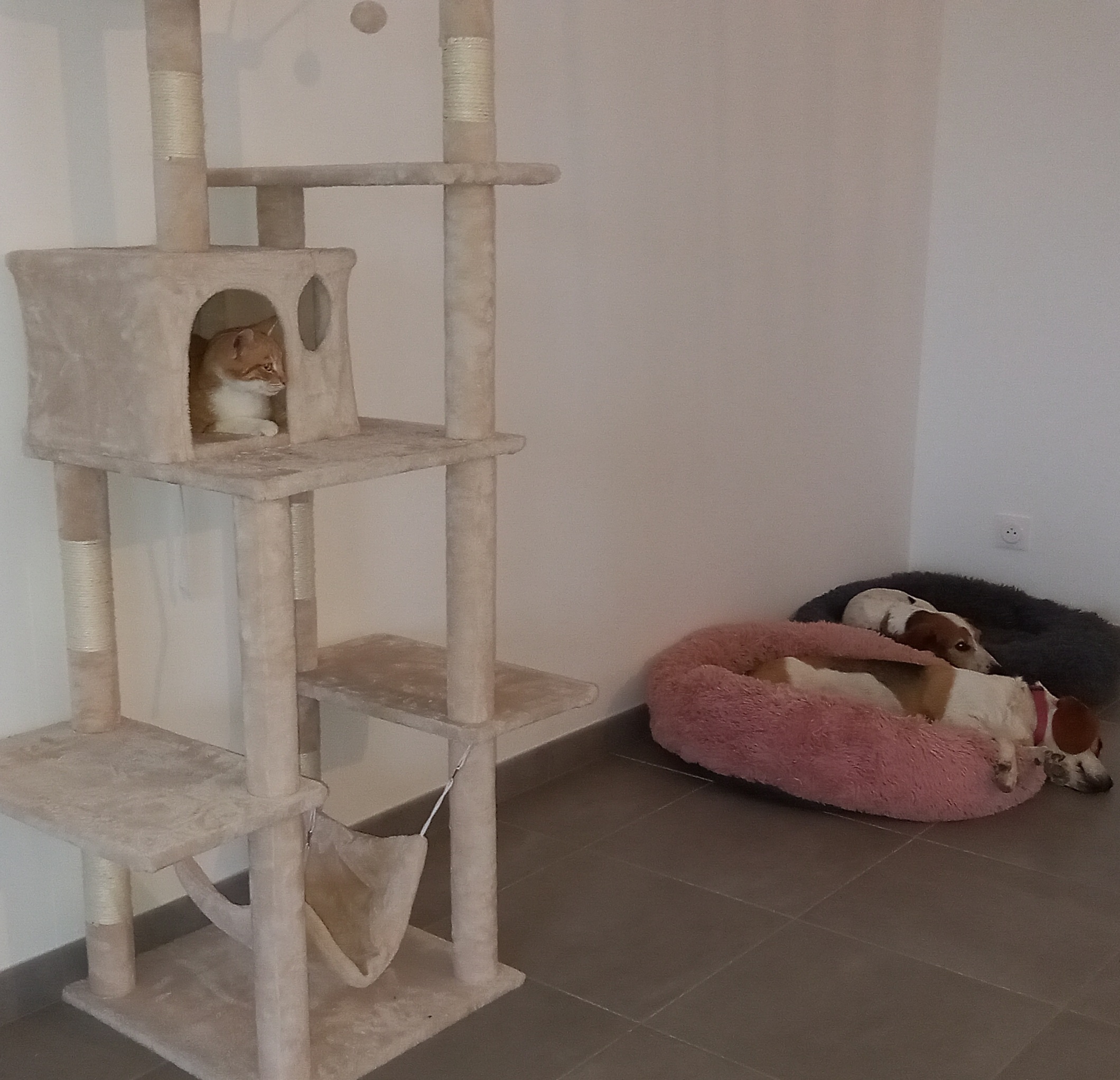 Photo n° 2 de l'avis de Karine.o fait le 18/12/2019 à 10:29