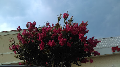 Grocery Store «Food Lion», reviews and photos, 122 Cranbrook Rd, Cockeysville, MD 21030, USA