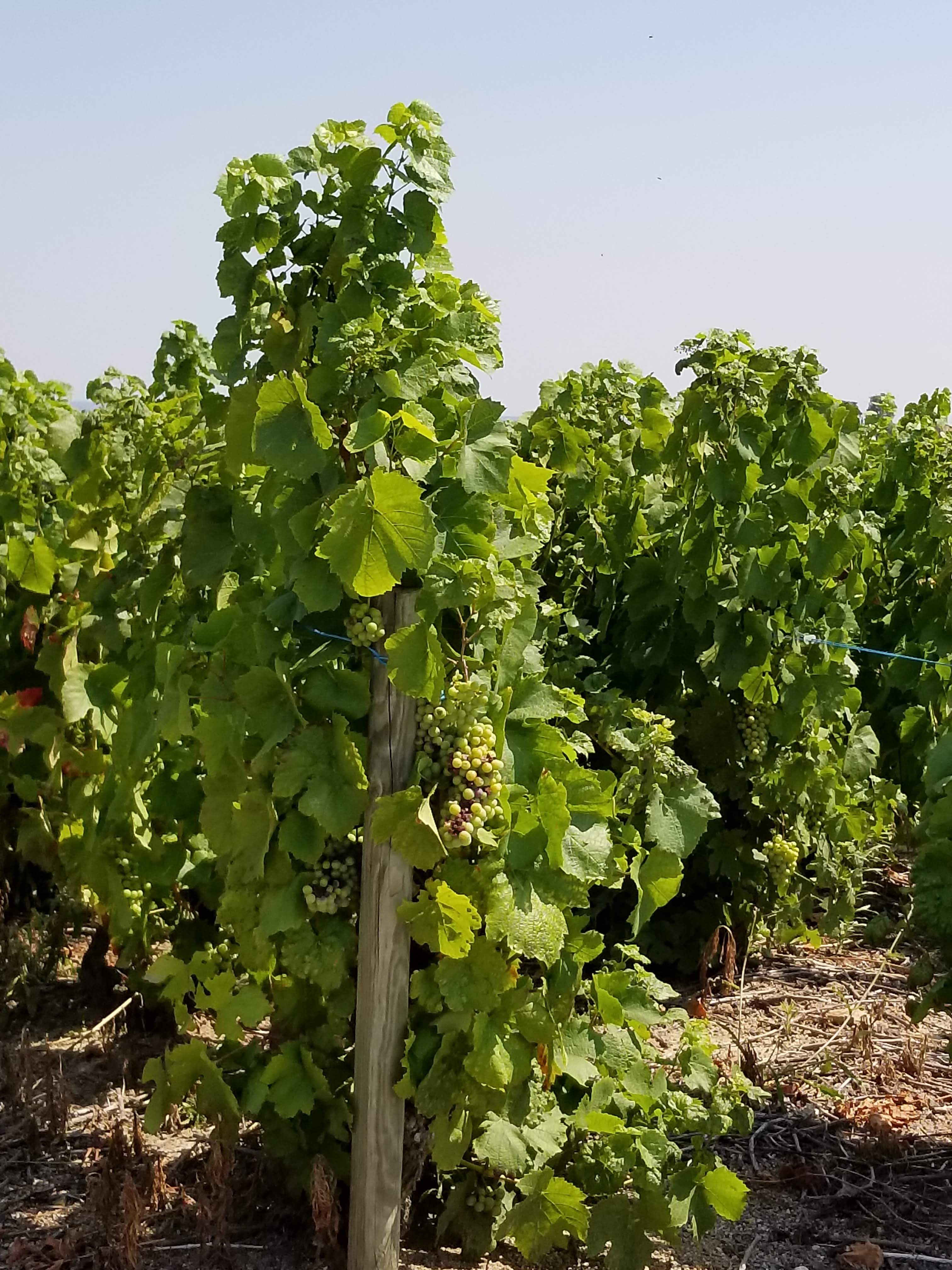 Photo n° 14 de l'avis de Pritesh.i fait le 25/07/2018 à 10:14
