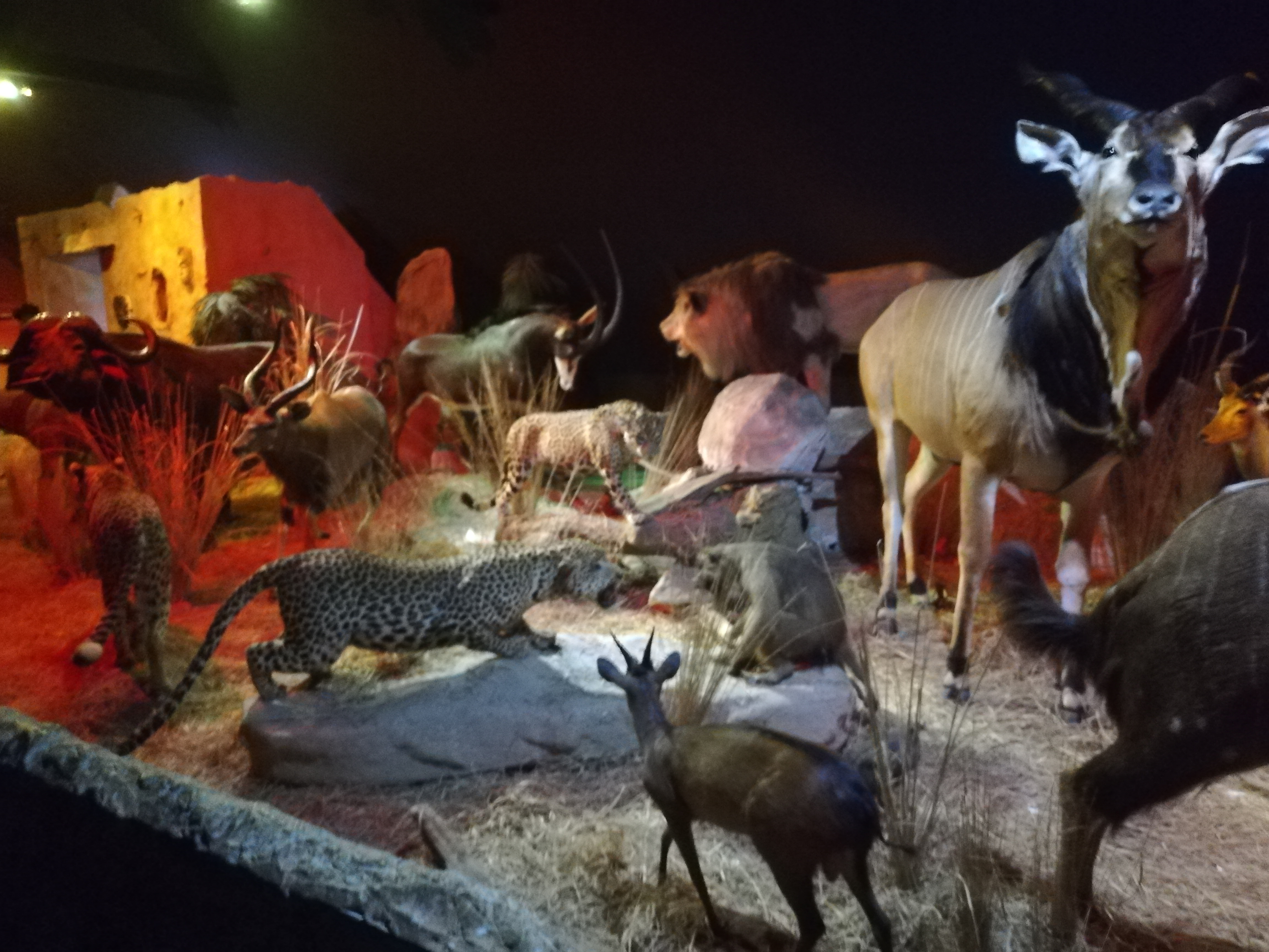 Photo n° 28 de l'avis de Soleil. fait le 20/08/2020 à 12:36