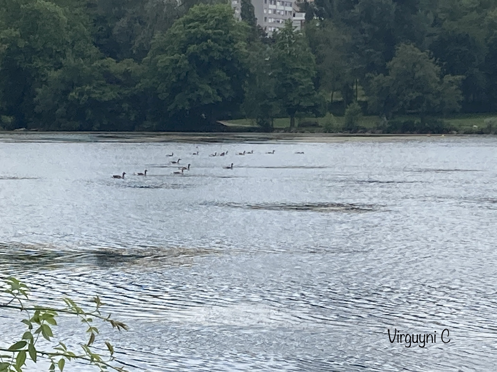 Photo n° 3 de l'avis de Virginie.n fait le 10/06/2022 à 08:34