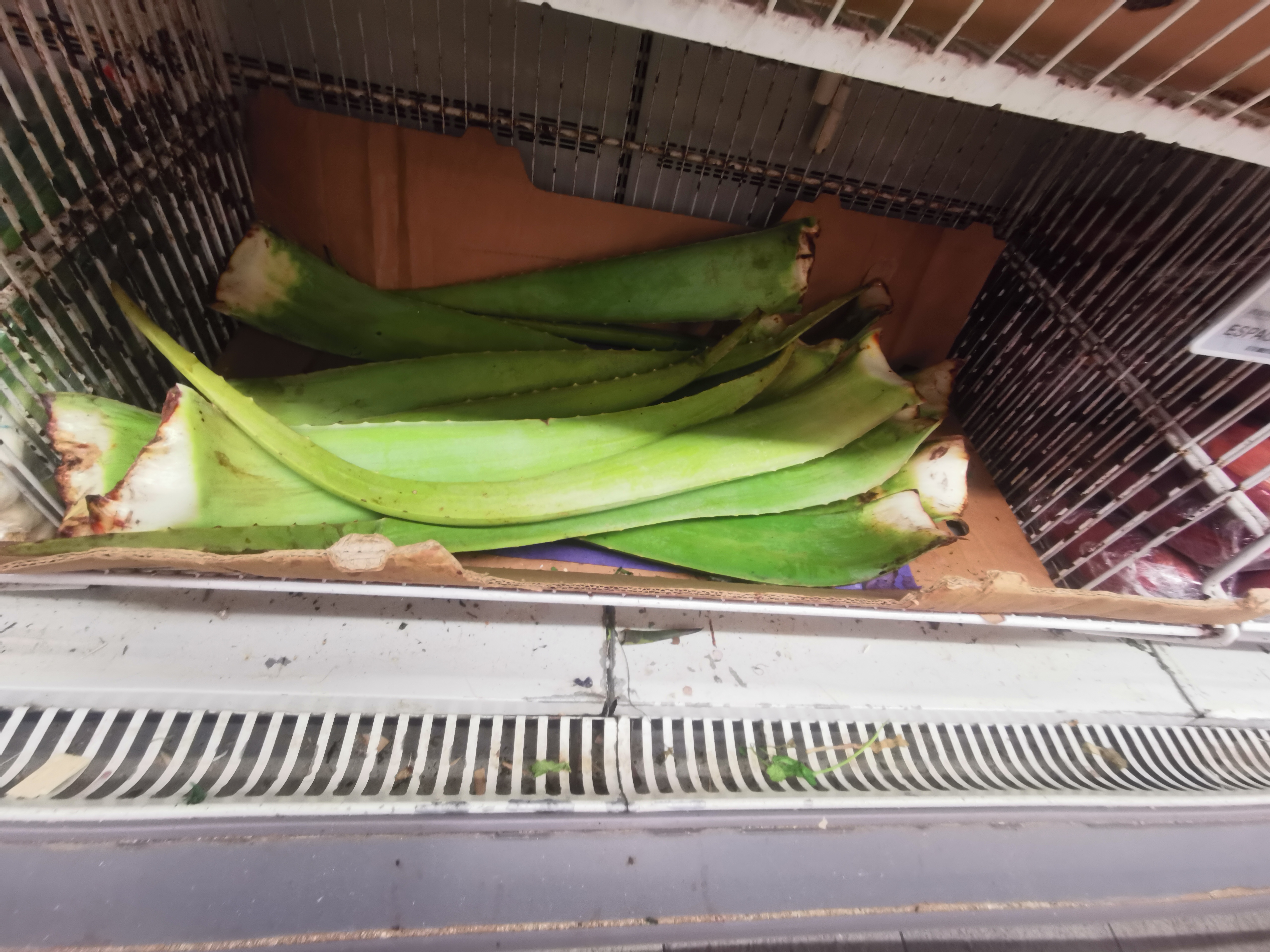 Photo n° 17 de l'avis de Bat.a fait le 29/07/2022 à 13:06