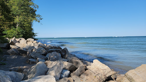 Lake Erie Bluffs (Lake Metroparks) image 7