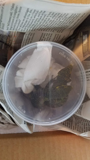 Pet Supply Store «Animal House Pets LLC», reviews and photos, 217 W 14th St, Marshfield, WI 54449, USA