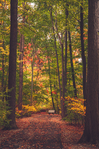 Nature Preserve «Red Oaks Nature Center», reviews and photos, 30300 Hales St, Madison Heights, MI 48071, USA