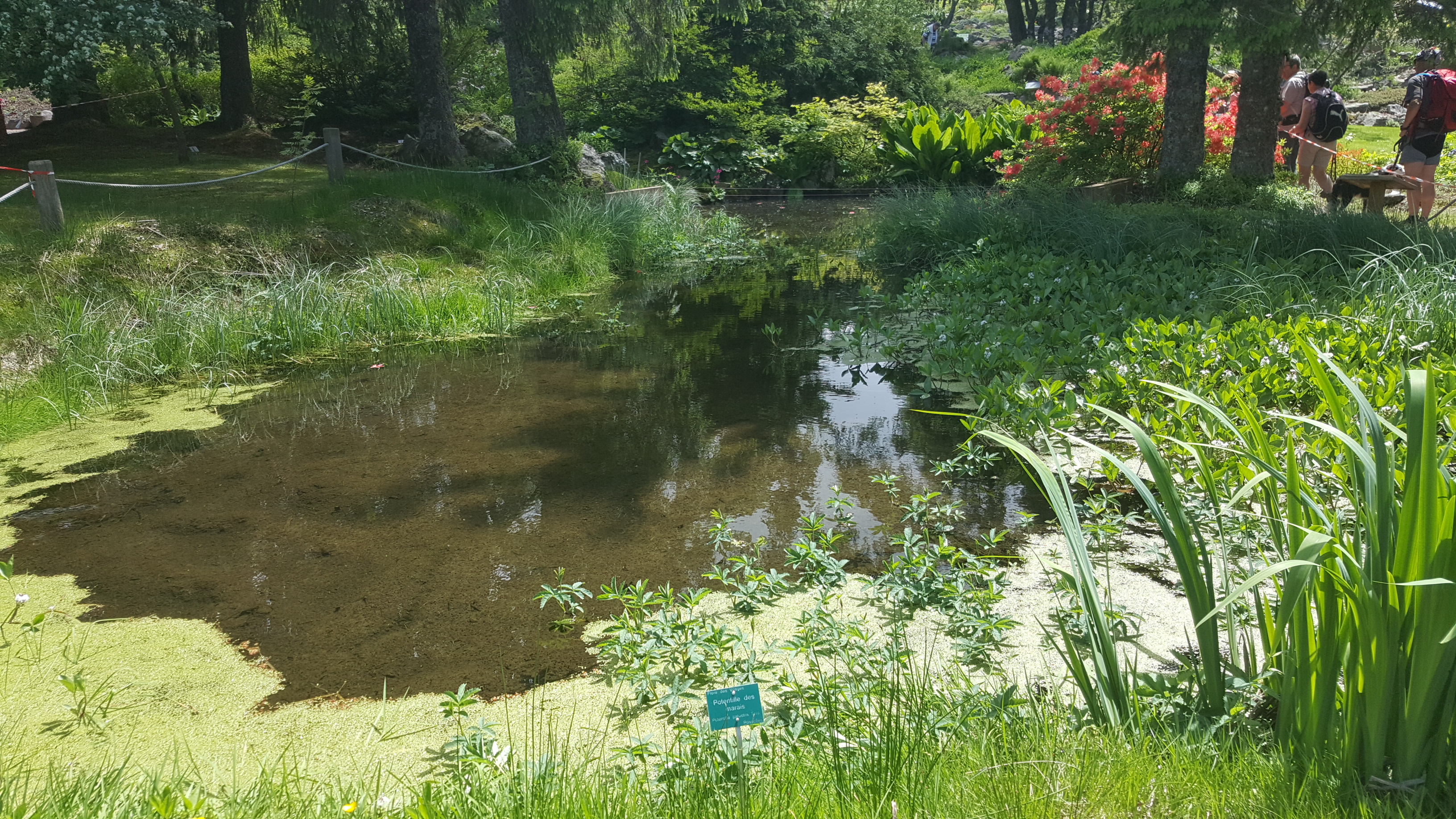 Photo n° 24 de l'avis de Jean-Sébastien.O fait le 23/06/2019 à 16:49