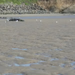 Photo n° 16 de l'avis de Emma.U fait le 18/08/2019 à 14:42 pour Belambra Clubs 