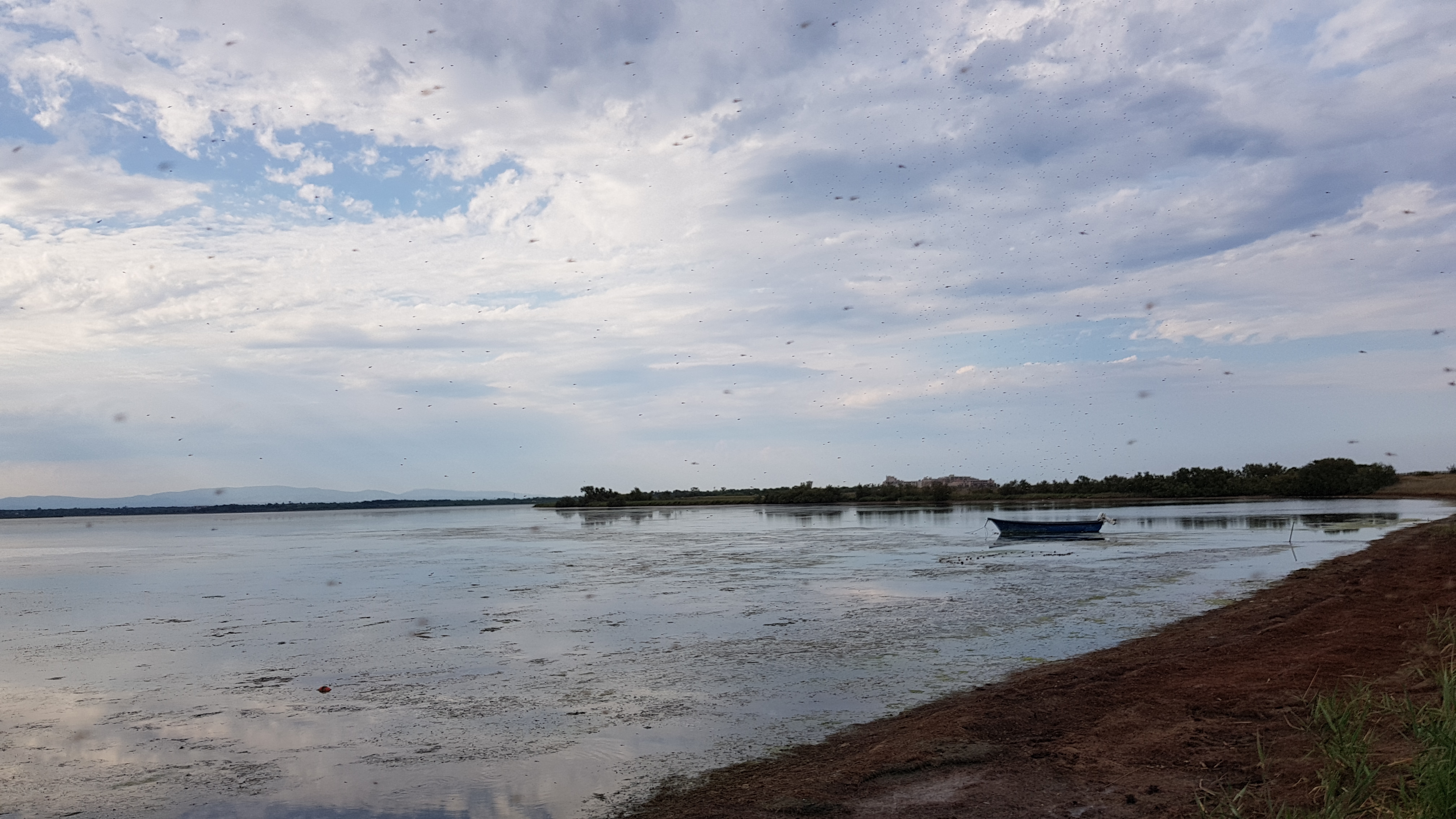 Photo n° 8 de l'avis de MJ.c fait le 18/08/2018 à 20:40