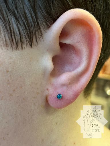 Explore background ideas for sleeve tattoos, creative tattoo ideas in Mobile, available at Royal Stone Piercing