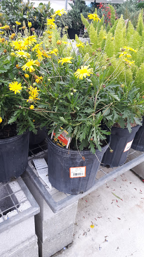 Home Improvement Store «The Home Depot», reviews and photos, 3373 Ronald McNair Way, Titusville, FL 32780, USA