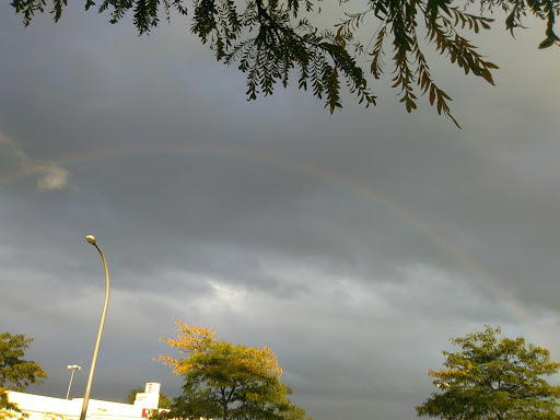 Auto Parts Store «Pep Boys Auto Parts & Service», reviews and photos, 1996 Elmwood Ave, Buffalo, NY 14207, USA
