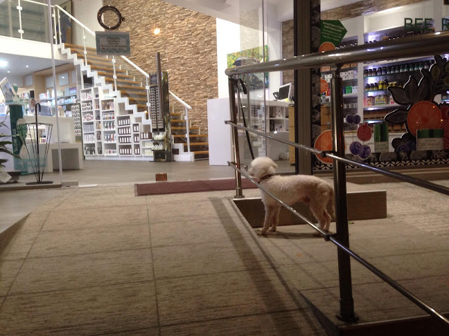 ΦΑΡΜΑΚΕΙΟ NEW LIFE PHARMACY