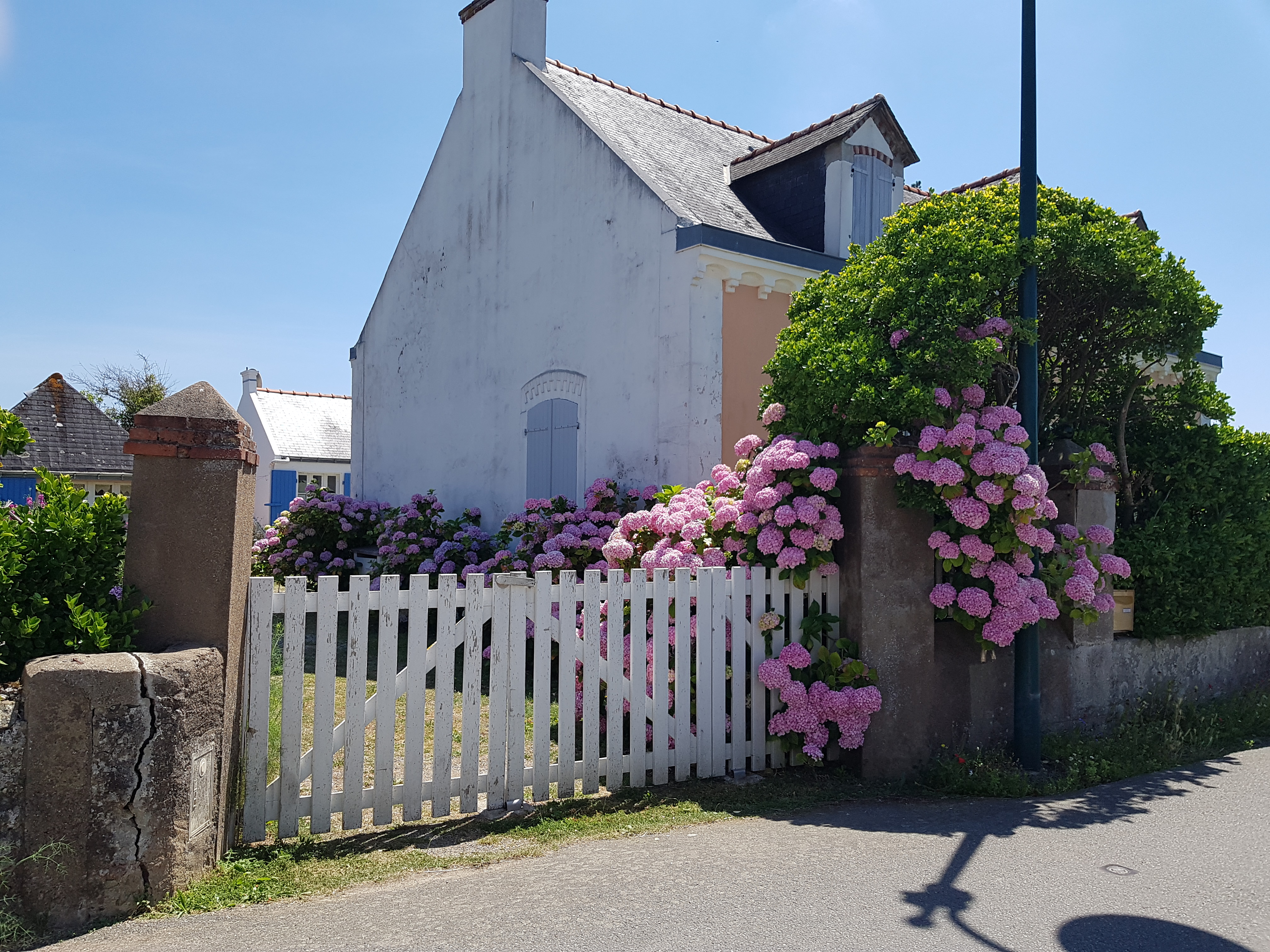 Photo n° 11 de l'avis de FREDERIQUE.a fait le 10/07/2019 à 09:59