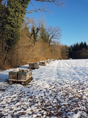 Miel, Apiculteur Fernandez à Dompierre-sur-Mont