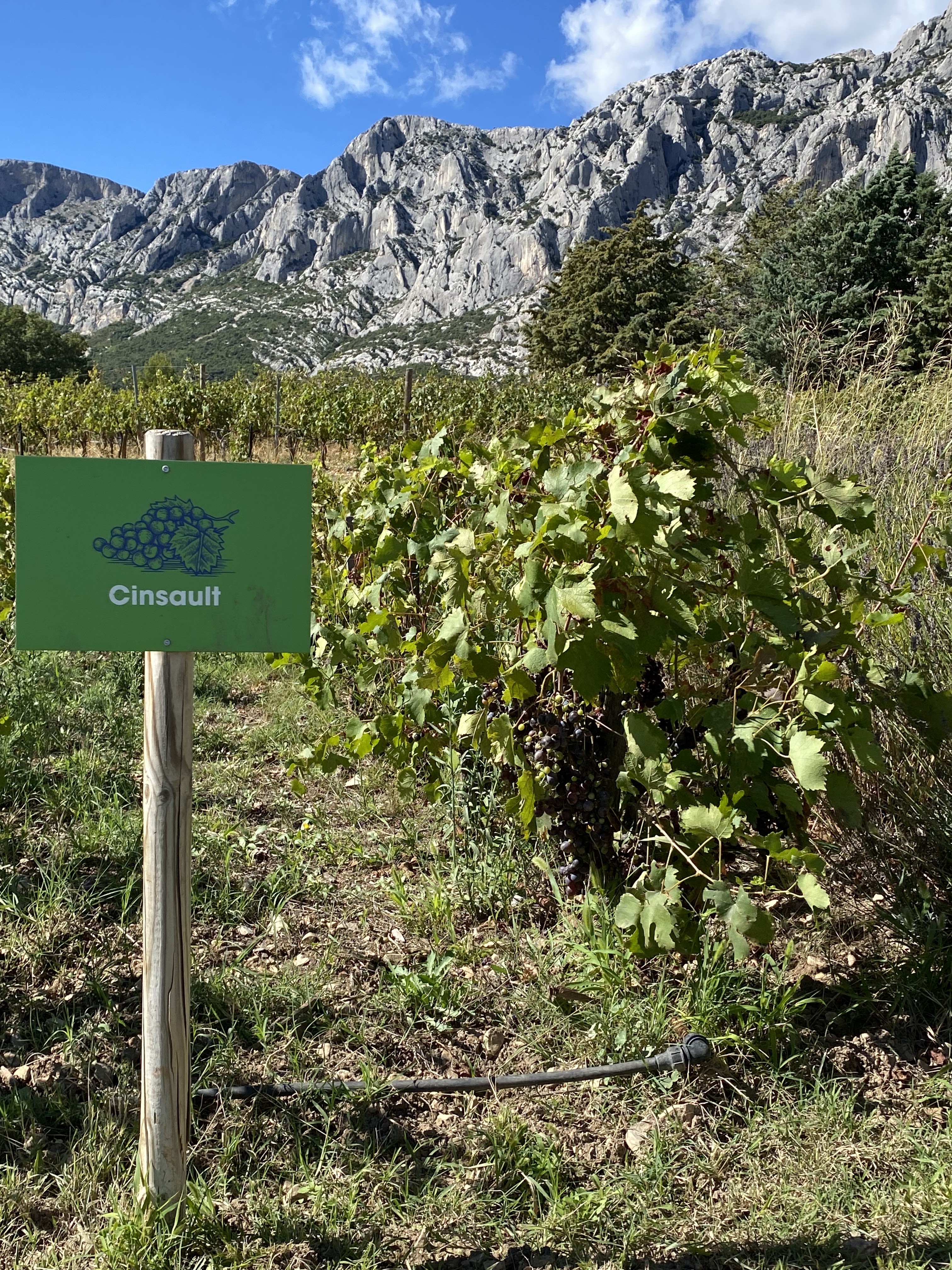 Photo n° 3 de l'avis de Tara.e fait le 20/09/2021 à 12:10