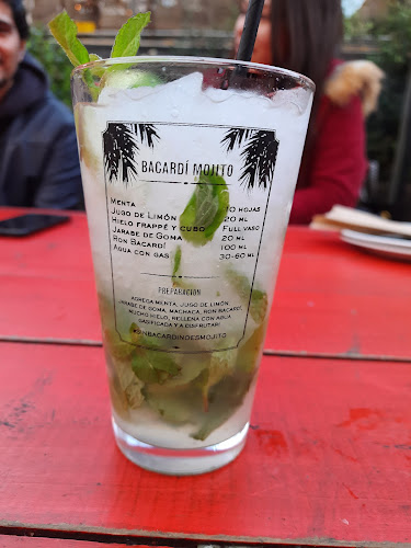 Opiniones de Jardín Mallinkrodt en Providencia - Pub