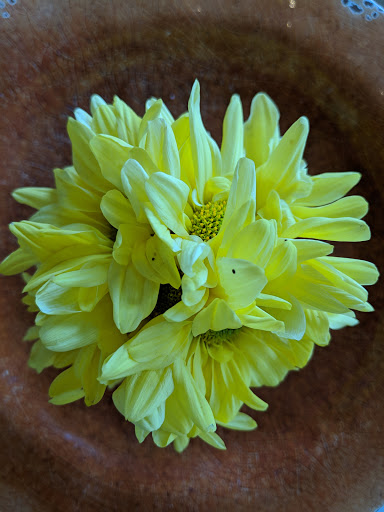 Bakery «Yellow Vase», reviews and photos, 1805 S Catalina Ave, Redondo Beach, CA 90277, USA