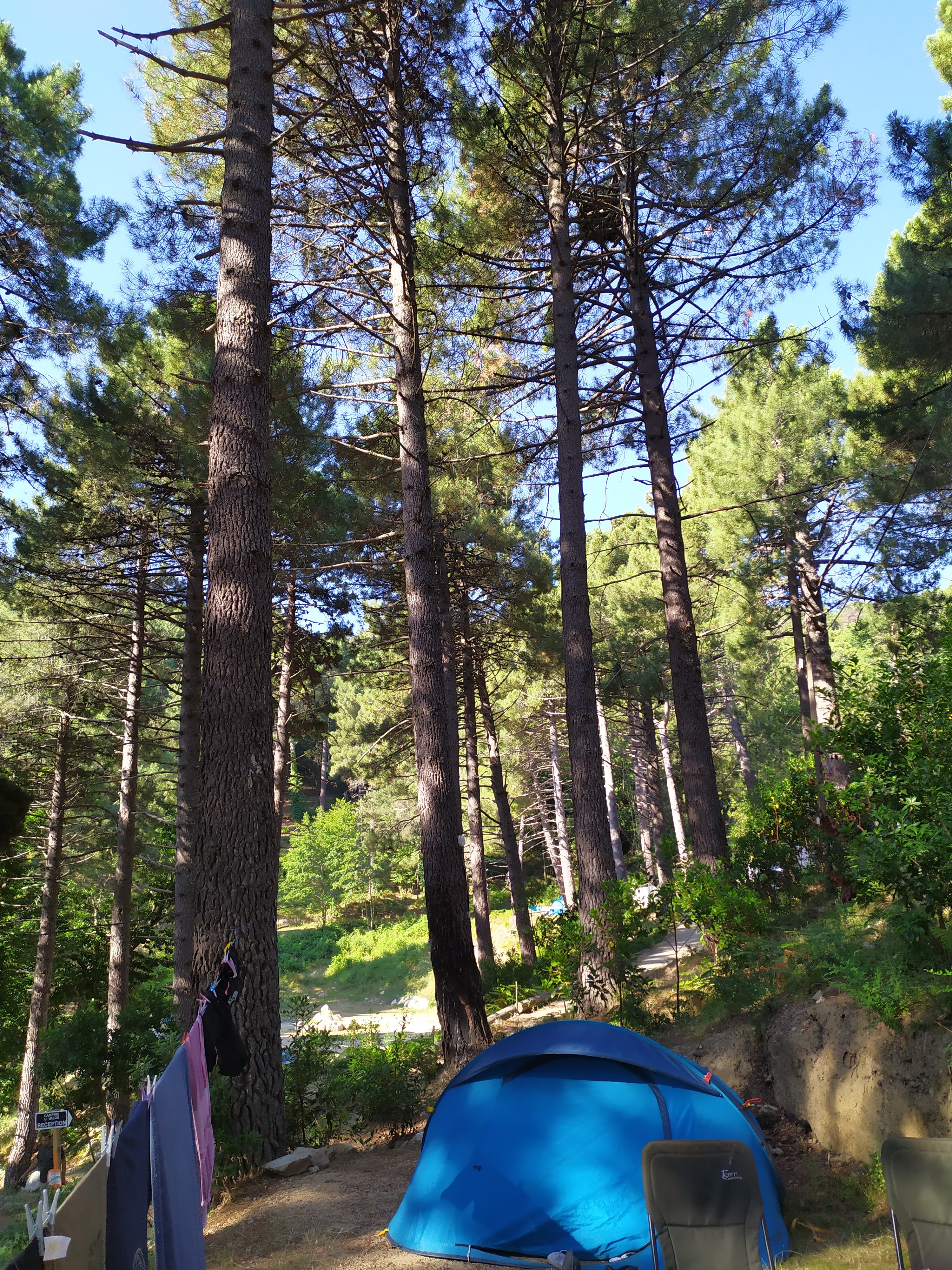 Photo n° 3 de l'avis de catherine.o fait le 20/07/2019 à 19:16