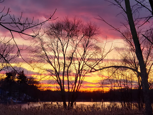 Park «Millennium Park», reviews and photos, 300 Gardner Street, West Roxbury, MA 02132, USA