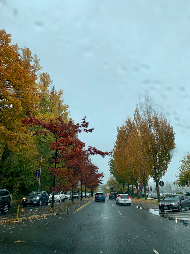 Gymnastics Center «University of Washington Intramural Activities Building (IMA)», reviews and photos, 3924 Montlake Blvd NE, Seattle, WA 98195, USA