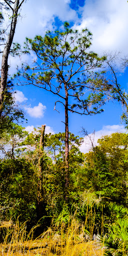 Nature Preserve «Gator Creek Reserve», reviews and photos, 9725 US Hwy 98 N, Lakeland, FL 33809, USA