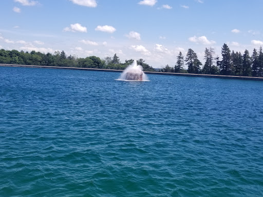 Nature Preserve «Veterans Memorial Park», reviews and photos, 595 Calkins Rd, Henrietta, NY 14467, USA