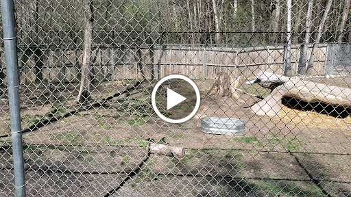 Zoo «Utica Zoo», reviews and photos, 1 Utica Zoo Way, Utica, NY 13501, USA