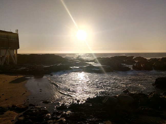 Opinii despre Universidad în Viña del Mar - Escuela