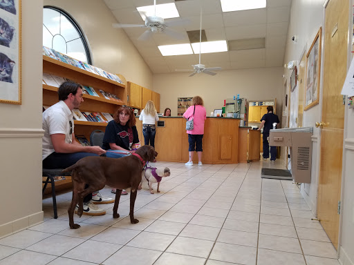 All Animal Hospital image