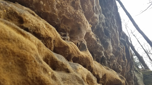 Vista Point «Ledges Overlook», reviews and photos, 405 Truxell Rd, Peninsula, OH 44264, USA